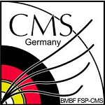 D-CMS Logo